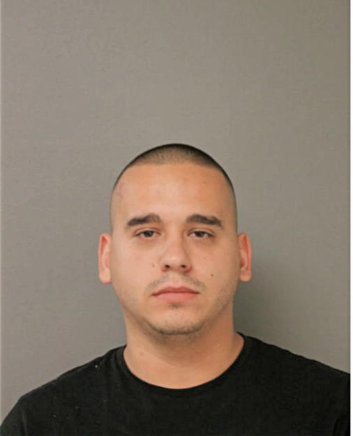 LAZAR MISKOVIC, Cook County, Illinois