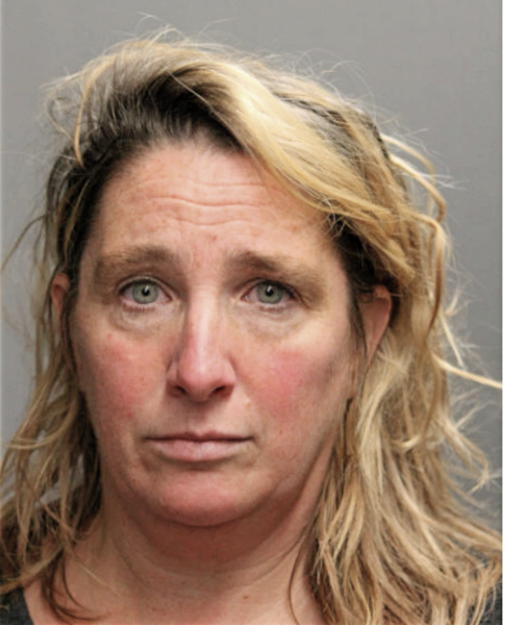 GINA A MONTINO, Cook County, Illinois