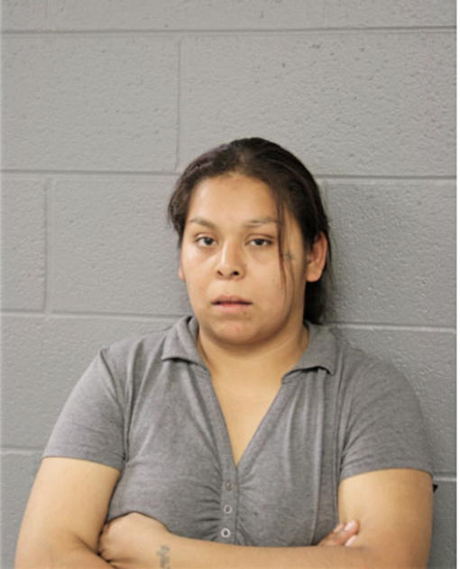 LYNN M ROCHA, Cook County, Illinois