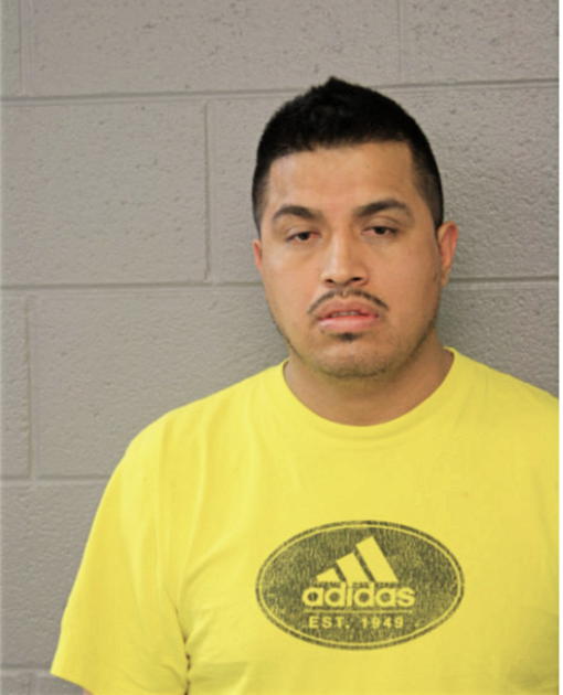 EDGAR F SALAS, Cook County, Illinois