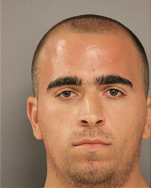 LUIS J SCHWICHTENBERG, Cook County, Illinois