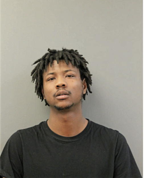 CHRIS L SINGLETON, Cook County, Illinois