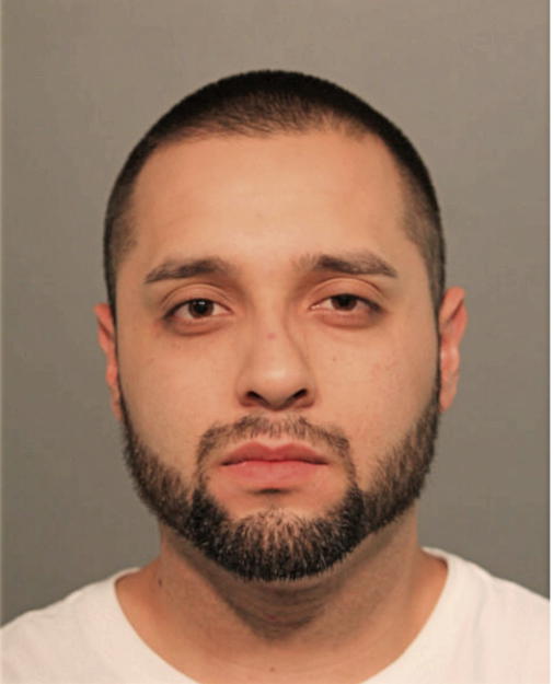 CARLOS A TELLEZ-SALINAS, Cook County, Illinois