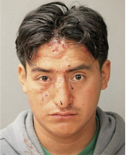 LUIS E VILLA, Cook County, Illinois
