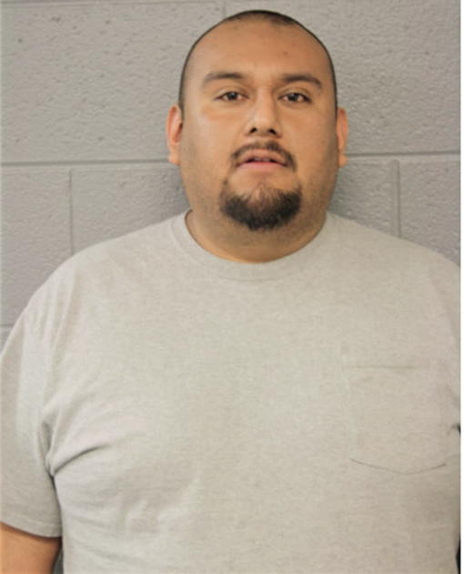 DENES VILLAREAL, Cook County, Illinois