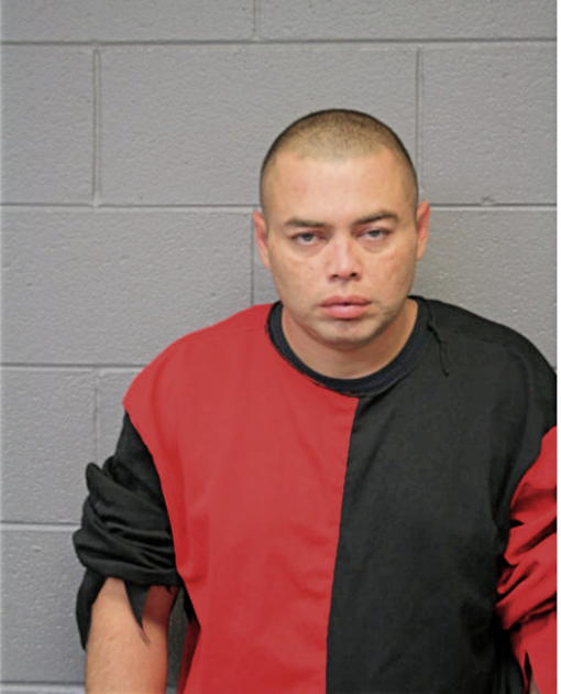 JOSE A APONTE, Cook County, Illinois