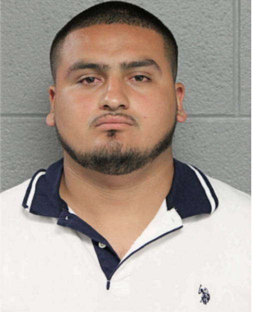 JORGE A BOLANDO, Cook County, Illinois