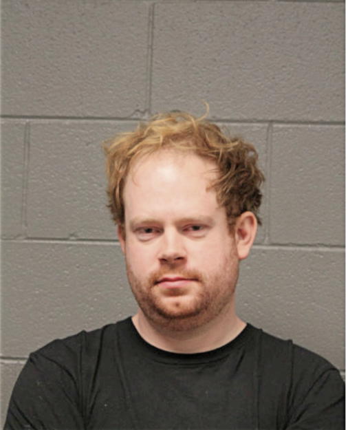 ANDREW J BRIGGS, Cook County, Illinois