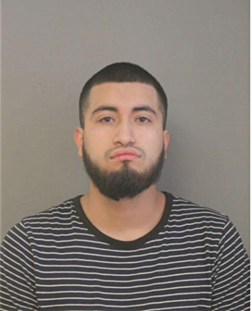 BRYAN CAMARILLO, Cook County, Illinois