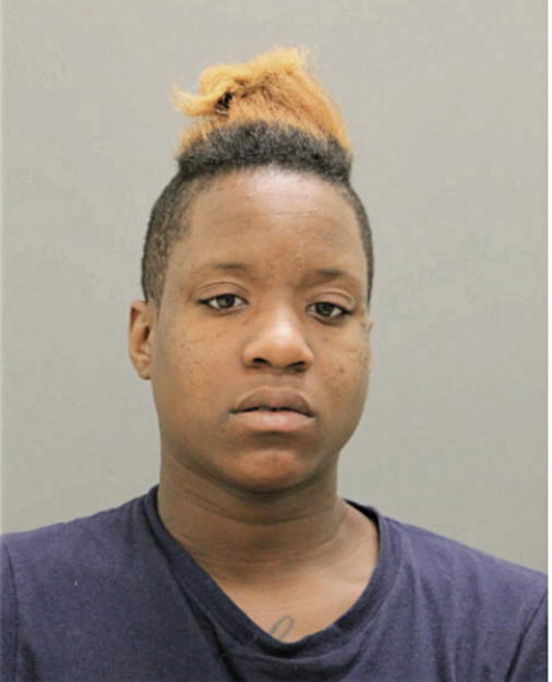 NIKETA J CHANDLER, Cook County, Illinois