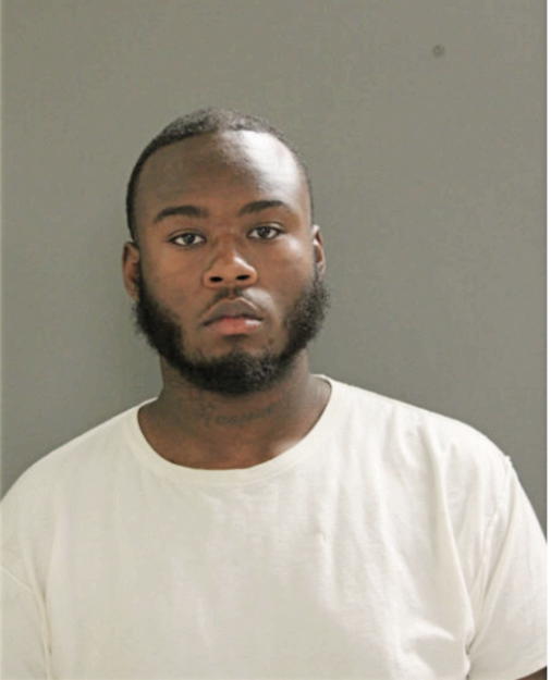 DERRICK J CHAPMAN, Cook County, Illinois