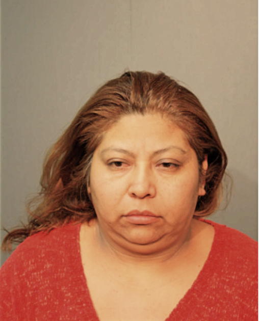 ANA L DIAZ, Cook County, Illinois