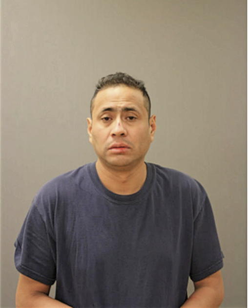 FABIAN F DOMINGUEZ, Cook County, Illinois