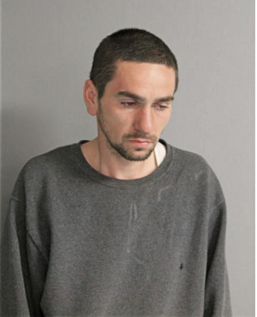 BRIAN P EVANS, Cook County, Illinois