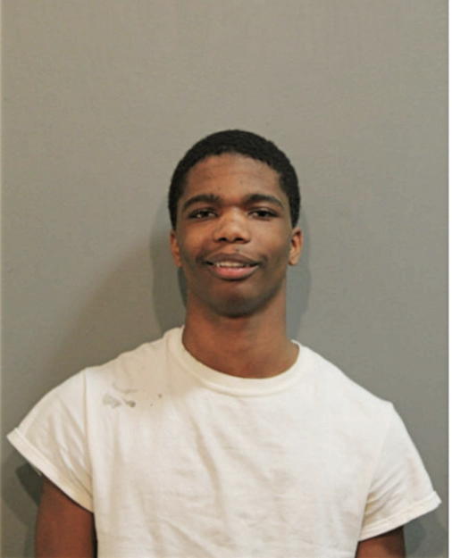 ADOLPHUS T FORD, Cook County, Illinois