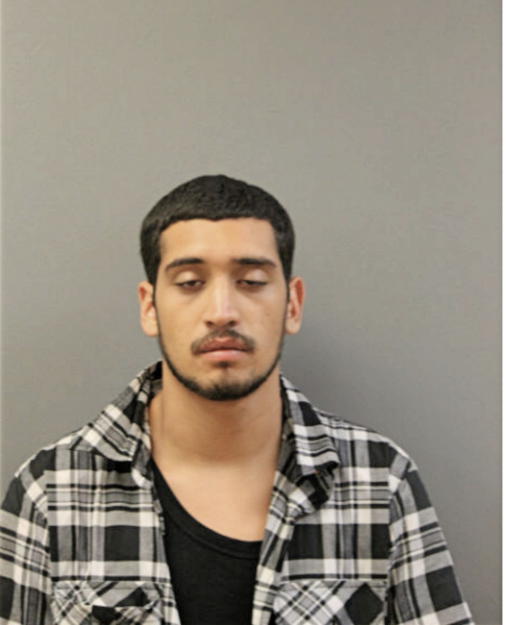 JOHNNY GEORGE GONZALEZ, Cook County, Illinois