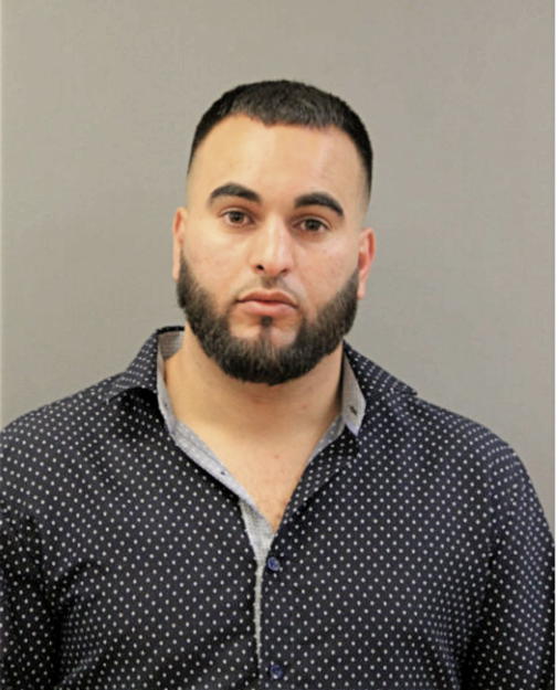 HAMDAN A HAMDAN, Cook County, Illinois