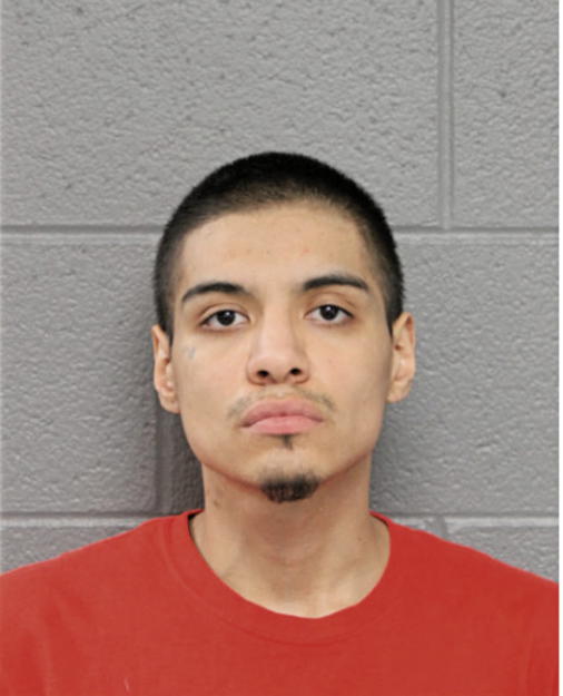 DANIEL J HERNANDEZ, Cook County, Illinois