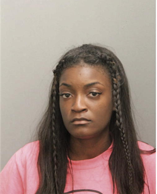 IVORY L JAMES, Cook County, Illinois