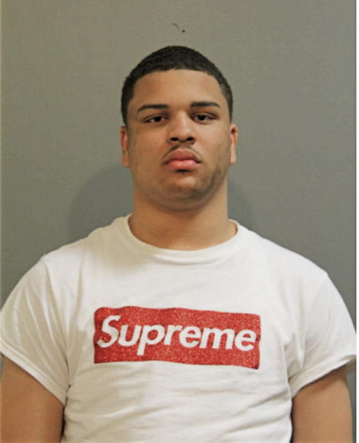 REAGAN H JOHNSON, Cook County, Illinois