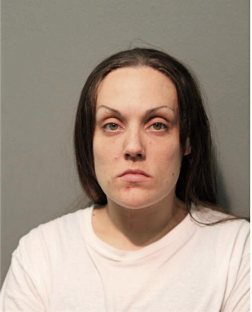 ROBYN A JOHNSON, Cook County, Illinois