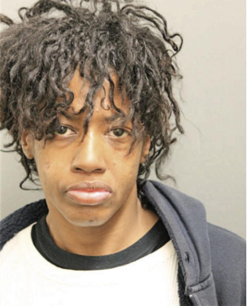 WYNETTA L LARKIN, Cook County, Illinois