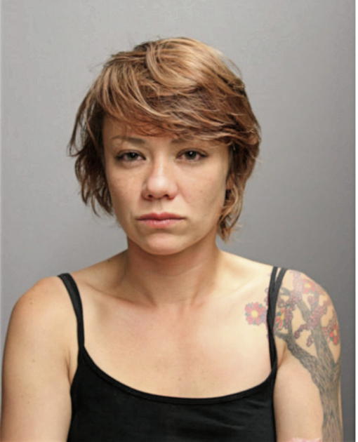 MICHELLE J MARTIN, Cook County, Illinois