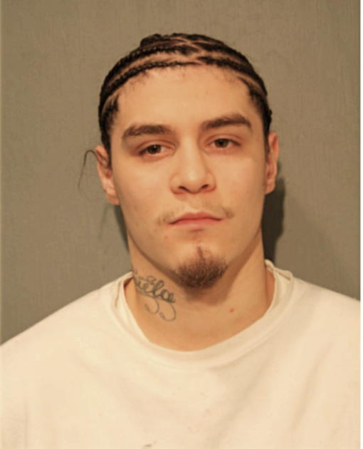 LUIS A PADIN, Cook County, Illinois