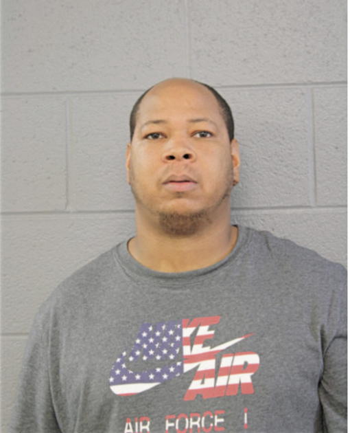 DAVID J PALMER, Cook County, Illinois