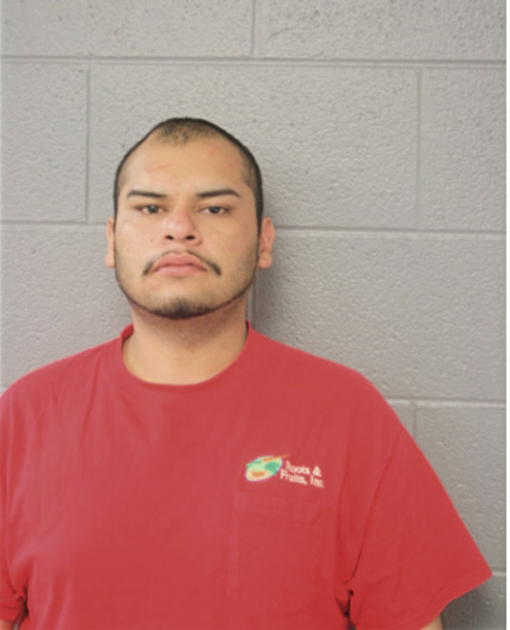 NESTOR REYES, Cook County, Illinois