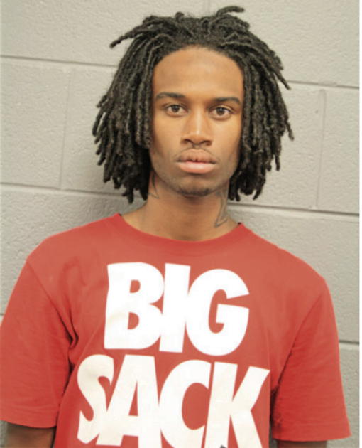 JORDAN L WHITE, Cook County, Illinois