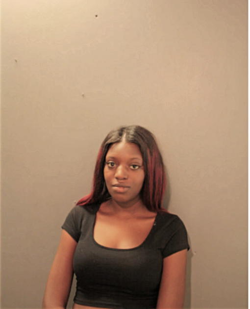 SHAMEKA T WILLIAMS, Cook County, Illinois