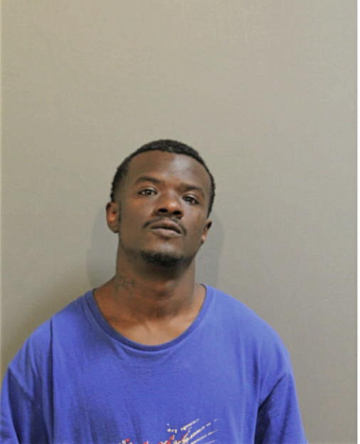 TERRENCE A YOUNG, Cook County, Illinois