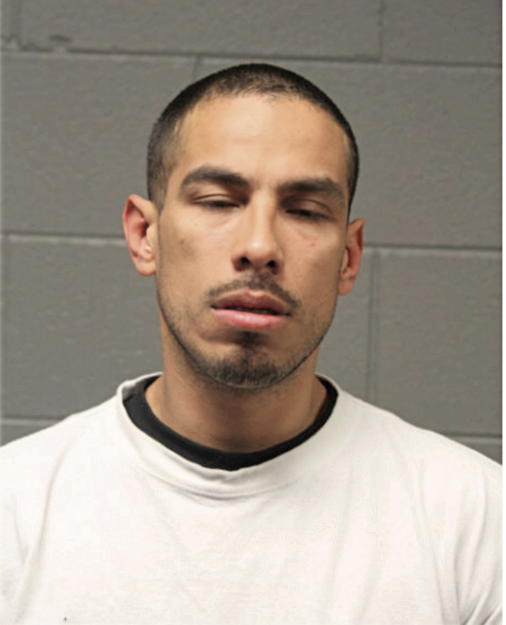 ENRIQUE ZAMORA, Cook County, Illinois