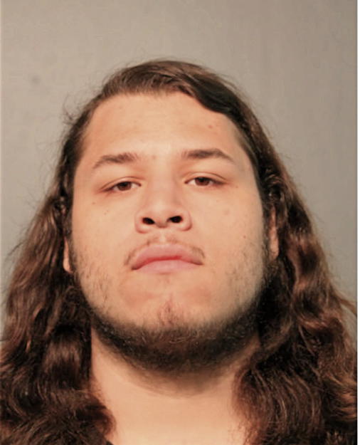 AUSTIN A ARTEAGA, Cook County, Illinois