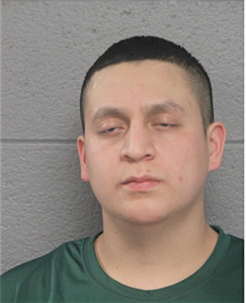 ULISES A BAEZ, Cook County, Illinois