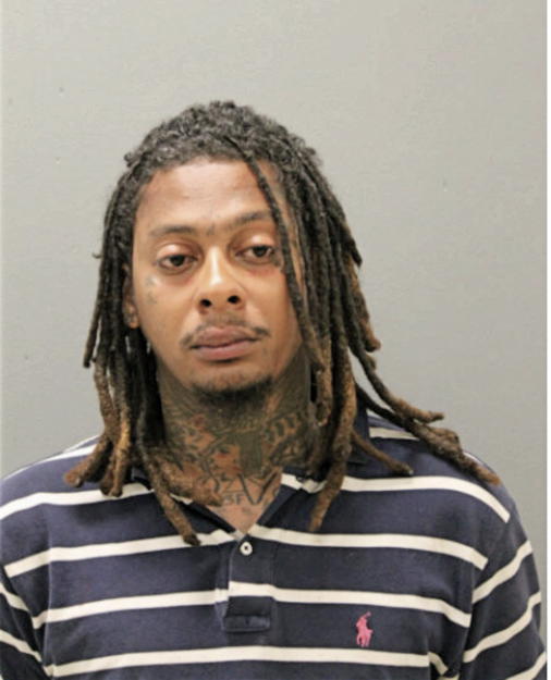 GABRIEL R BROWN, Cook County, Illinois