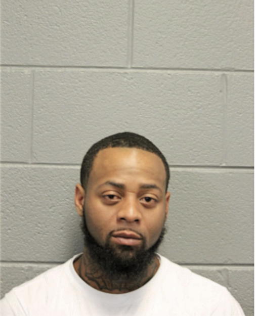 CRAIG A BRYAN, Cook County, Illinois