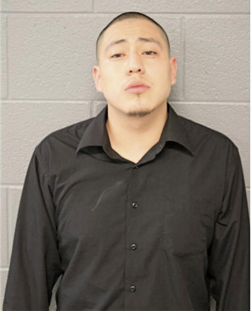 VICTOR H CALDERON, Cook County, Illinois