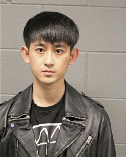 SHENG FENG, Cook County, Illinois