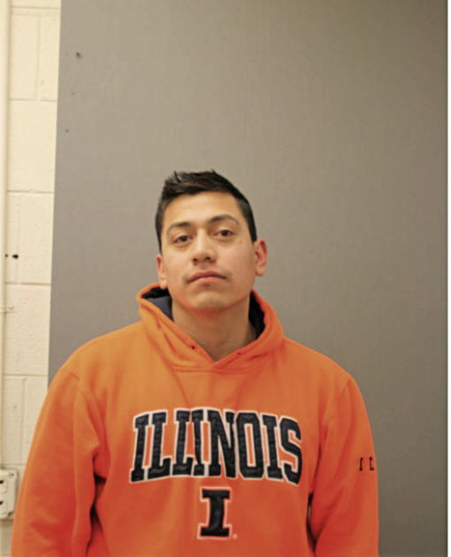ARMANDO FERNANDEZ, Cook County, Illinois