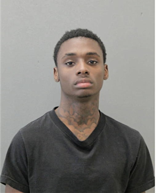 KENDALL FLEMING, Cook County, Illinois