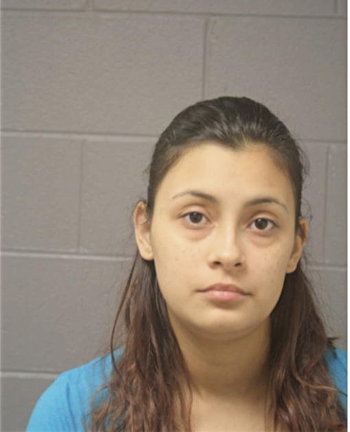 ALEJANDRA N GARCIA, Cook County, Illinois