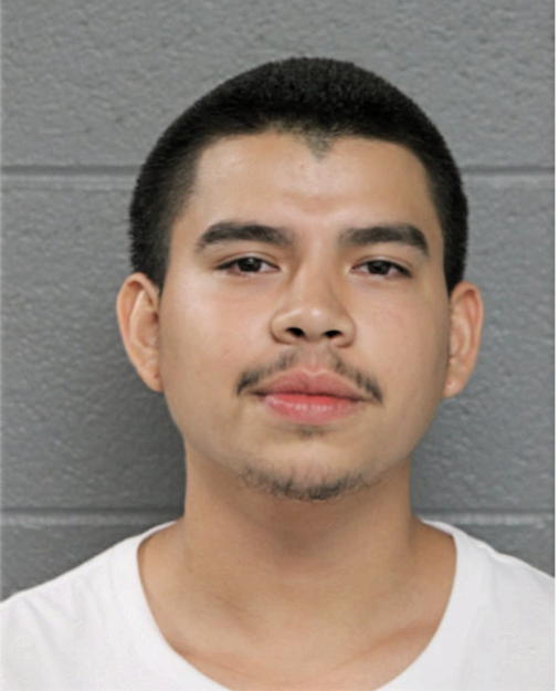 JOAQUIN GUERECA, Cook County, Illinois
