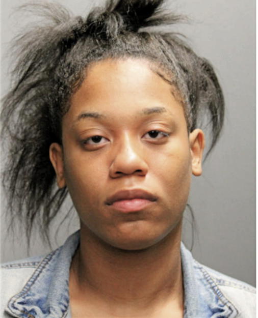 GABRIELLE R HEIDELBERG, Cook County, Illinois