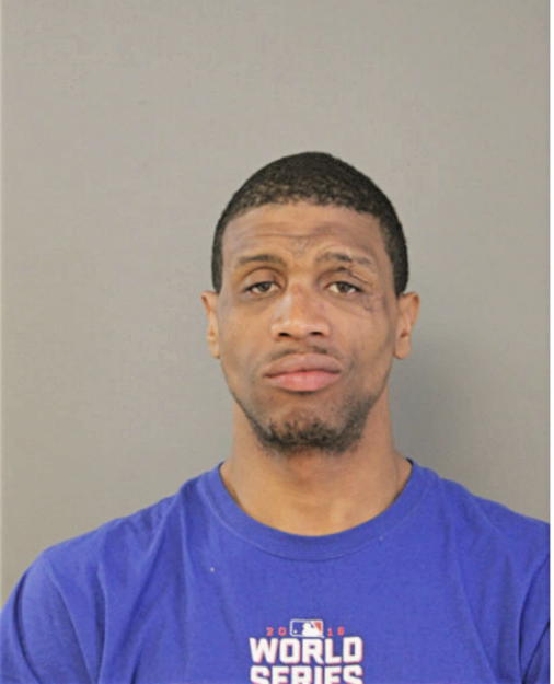 TIMOTHY A HOGAN, Cook County, Illinois