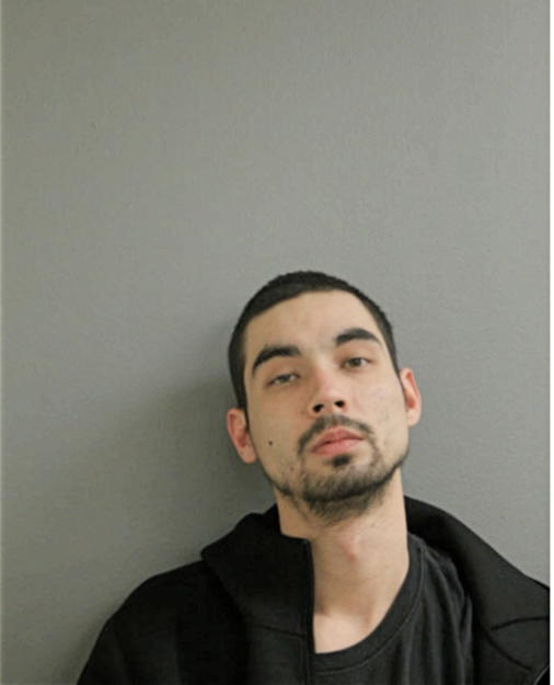 RICHARD G HUNT, Cook County, Illinois