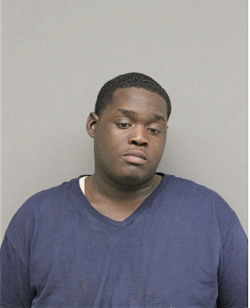 BRENDAN E LEE, Cook County, Illinois
