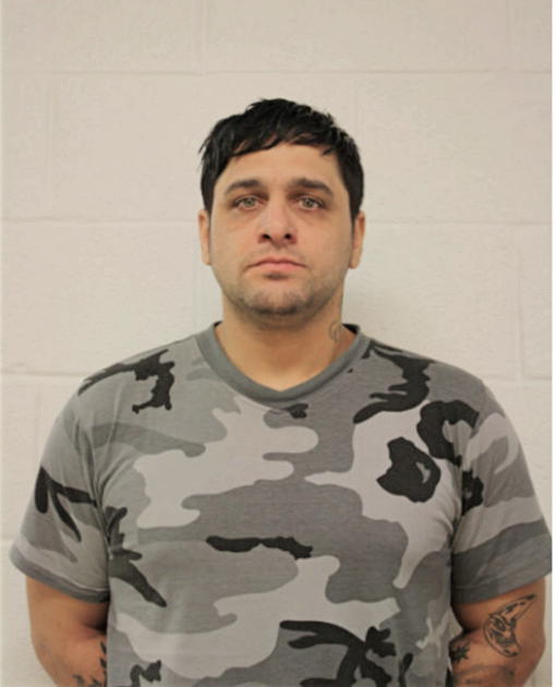 DANIEL J LENA, Cook County, Illinois