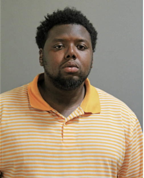 DAVID T LEWIS, Cook County, Illinois